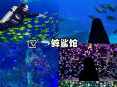 -珠海长隆海洋王国