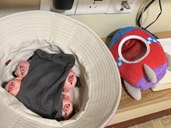 -明珠湖天鹅苑·农家菜馆