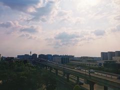 -丸摩堂鲜果茶(玉林店)