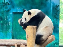 -沈阳森林动物园