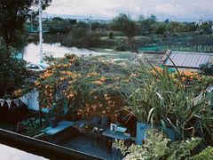 -翠田Green Field Kitchen
