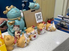 -凯瑞希宠物医院·狂犬免疫·微创·皮肤科