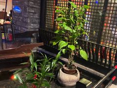 -红蜡烛-养生粥-津鲁菜(中山路店)