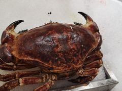 -丰卓会海鲜自助(中润大道店)