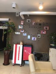 点击看大图 -渲格造型