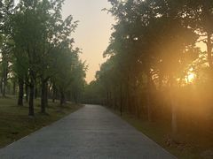 -养云安缦·廊