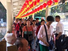 -九龙江国家森林公园