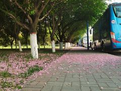 -西安外国语大学(长安校区)