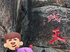 -汤旺河林海奇石景区