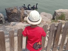 -天津东丽湖风景区