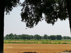 -西青郊野公园