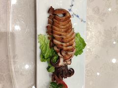 -海中洲渔社