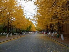 -辽宁大学(崇山校区)