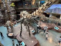 -安徽省地质博物馆