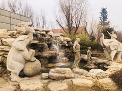 -南宫五洲植物乐园