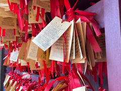 -文庙菜饭(四川北路店)