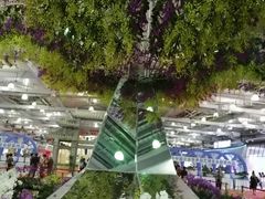 -东南花都花博园