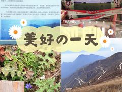 -白草畔自然风景区