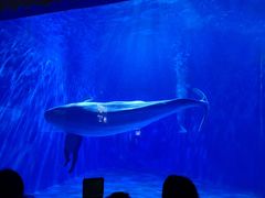 -多彩贵州城极地海洋世界