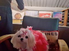 -nodcafe(M50创意园店)