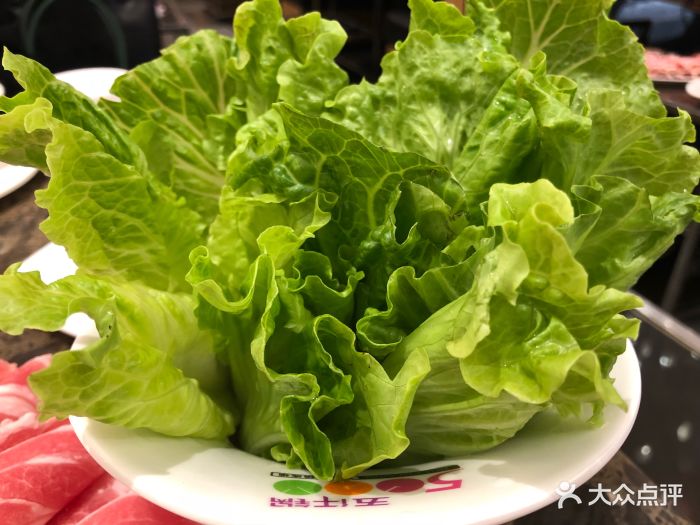 若爱猪肚鸡(菱角湖万达店)-生菜-菜-生菜图片-武汉美食-大众点评网