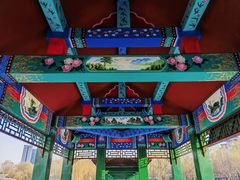 -莲花池公园