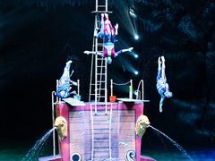 -广州长隆国际大马戏