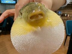 -肆月河豚·新淮扬(金融街店)