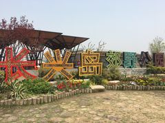 -上海长兴岛郊野公园