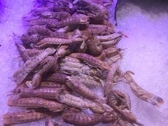 -深圳香格里拉酒店