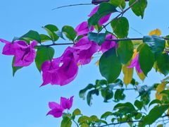 -云南师范大学(一二一西南联大校区)