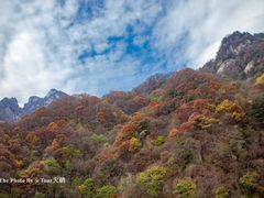 -王顺山国家森林公园