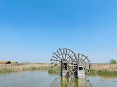 -宁波杭州湾国家湿地公园