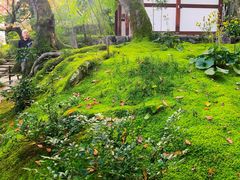 -常寂光寺