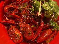 -红辣椒·川菜·火锅(张杨路店)