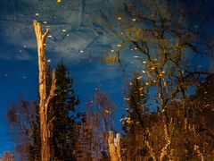 -叠溪松坪沟景区