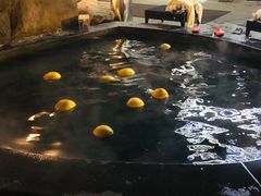 -裕龙汤泉