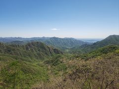 -大岭沟猕猴桃谷风景区