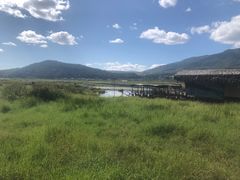 -腾冲北海湿地