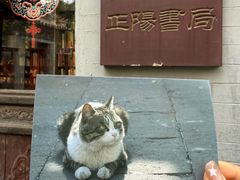 -正阳书局(西四南大街店)