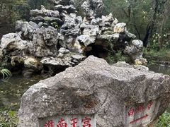 -小尹土菜