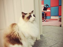 -零纪元VR体验馆·桌游(黄浦店)