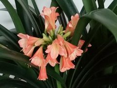 -学习谷日语培训日本留学·多语种外语教学(海淀人大分部)