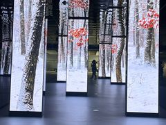 -中国湿地博物馆