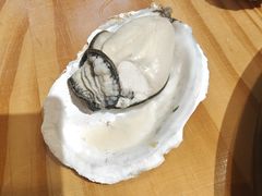 湛江生蚝-阿鸡鱼庄·顺德鲜蒸小炒(亚运村店)