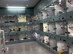 -萌宠之家·腊肠犬·马尔泰·小体犬舍