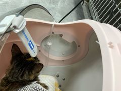 -贝康宠物医院·犬猫全科·小动物特色诊疗中心(东环路店)