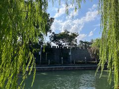 -川沙古镇-停车场