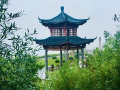 -江南天池