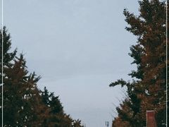 -汉景帝阳陵博物院